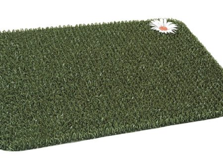 GrassWorx Clean Machine 18 in. W X 24 in. L Green Daisy AstroTurf Door Mat For Sale