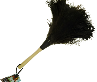 Ostrich Feather Duster Online